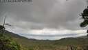 ./images/calvert/fitz-hugh-hecate/20261005/fitz-hugh-hecate20261005_173501M.jpg
