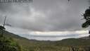 ./images/calvert/fitz-hugh-hecate/20261005/fitz-hugh-hecate20261005_174002M.jpg
