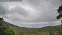./images/calvert/fitz-hugh-hecate/20261005/fitz-hugh-hecate20261005_180001M.jpg