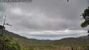 ./images/calvert/fitz-hugh-hecate/20261005/fitz-hugh-hecate20261005_181502M.jpg