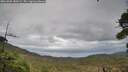 ./images/calvert/fitz-hugh-hecate/20261005/fitz-hugh-hecate20261005_183501M.jpg