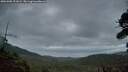 ./images/calvert/fitz-hugh-hecate/20261005/fitz-hugh-hecate20261005_191001M.jpg