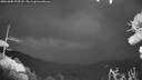 ./images/calvert/fitz-hugh-hecate/20261005/fitz-hugh-hecate20261005_193502M.jpg