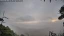 ./images/calvert/fitz-hugh-hecate/20261006/fitz-hugh-hecate20261006_080501M.jpg