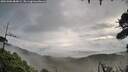 ./images/calvert/fitz-hugh-hecate/20261006/fitz-hugh-hecate20261006_084001M.jpg