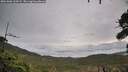 ./images/calvert/fitz-hugh-hecate/20261006/fitz-hugh-hecate20261006_100501M.jpg