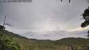 ./images/calvert/fitz-hugh-hecate/20261006/fitz-hugh-hecate20261006_102502M.jpg