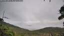 ./images/calvert/fitz-hugh-hecate/20261006/fitz-hugh-hecate20261006_103001M.jpg
