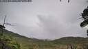 ./images/calvert/fitz-hugh-hecate/20261006/fitz-hugh-hecate20261006_105501M.jpg