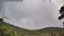 ./images/calvert/fitz-hugh-hecate/20261006/fitz-hugh-hecate20261006_110502M.jpg