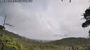 ./images/calvert/fitz-hugh-hecate/20261006/fitz-hugh-hecate20261006_111002M.jpg