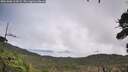 ./images/calvert/fitz-hugh-hecate/20261006/fitz-hugh-hecate20261006_114501M.jpg
