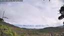 ./images/calvert/fitz-hugh-hecate/20261006/fitz-hugh-hecate20261006_120002M.jpg