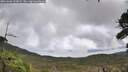 ./images/calvert/fitz-hugh-hecate/20261006/fitz-hugh-hecate20261006_122001M.jpg