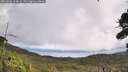 ./images/calvert/fitz-hugh-hecate/20261006/fitz-hugh-hecate20261006_124002M.jpg