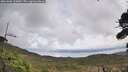 ./images/calvert/fitz-hugh-hecate/20261006/fitz-hugh-hecate20261006_130002M.jpg
