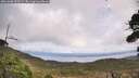 ./images/calvert/fitz-hugh-hecate/20261006/fitz-hugh-hecate20261006_133501M.jpg