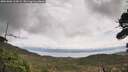 ./images/calvert/fitz-hugh-hecate/20261006/fitz-hugh-hecate20261006_135002M.jpg