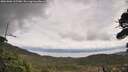 ./images/calvert/fitz-hugh-hecate/20261006/fitz-hugh-hecate20261006_135501M.jpg