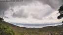 ./images/calvert/fitz-hugh-hecate/20261006/fitz-hugh-hecate20261006_140001M.jpg