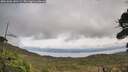 ./images/calvert/fitz-hugh-hecate/20261006/fitz-hugh-hecate20261006_141502M.jpg