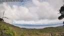 ./images/calvert/fitz-hugh-hecate/20261006/fitz-hugh-hecate20261006_142501M.jpg