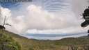./images/calvert/fitz-hugh-hecate/20261006/fitz-hugh-hecate20261006_143001M.jpg