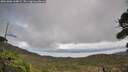 ./images/calvert/fitz-hugh-hecate/20261006/fitz-hugh-hecate20261006_144001M.jpg