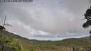 ./images/calvert/fitz-hugh-hecate/20261006/fitz-hugh-hecate20261006_153501M.jpg