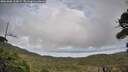 ./images/calvert/fitz-hugh-hecate/20261006/fitz-hugh-hecate20261006_154001M.jpg