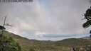 ./images/calvert/fitz-hugh-hecate/20261006/fitz-hugh-hecate20261006_161001M.jpg