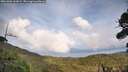./images/calvert/fitz-hugh-hecate/20261006/fitz-hugh-hecate20261006_162001M.jpg