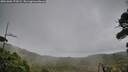 ./images/calvert/fitz-hugh-hecate/20261006/fitz-hugh-hecate20261006_172002M.jpg