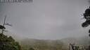 ./images/calvert/fitz-hugh-hecate/20261006/fitz-hugh-hecate20261006_180001M.jpg