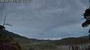 ./images/calvert/fitz-hugh-hecate/20261006/fitz-hugh-hecate20261006_192002M.jpg