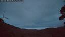 ./images/calvert/fitz-hugh-hecate/20261006/fitz-hugh-hecate20261006_193002M.jpg