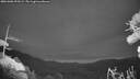 ./images/calvert/fitz-hugh-hecate/20261006/fitz-hugh-hecate20261006_193502M.jpg