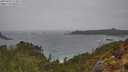 ./images/calvert/foggy-cove/20250428/foggy-cove20250428_113011M.jpg