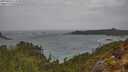 ./images/calvert/foggy-cove/20250428/foggy-cove20250428_114510M.jpg
