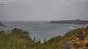 ./images/calvert/foggy-cove/20250428/foggy-cove20250428_115509M.jpg