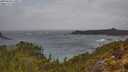 ./images/calvert/foggy-cove/20250428/foggy-cove20250428_120011M.jpg