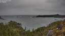 ./images/calvert/foggy-cove/20250428/foggy-cove20250428_150509M.jpg