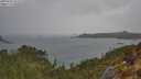 ./images/calvert/foggy-cove/20250428/foggy-cove20250428_152508M.jpg