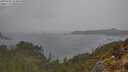 ./images/calvert/foggy-cove/20250428/foggy-cove20250428_154010M.jpg
