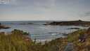 ./images/calvert/foggy-cove/20250430/foggy-cove20250430_082508M.jpg