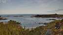 ./images/calvert/foggy-cove/20250430/foggy-cove20250430_084010M.jpg