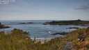 ./images/calvert/foggy-cove/20250430/foggy-cove20250430_093507M.jpg