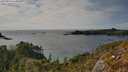 ./images/calvert/foggy-cove/20250430/foggy-cove20250430_164010M.jpg