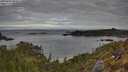 ./images/calvert/foggy-cove/20250501/foggy-cove20250501_084010M.jpg