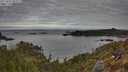 ./images/calvert/foggy-cove/20250501/foggy-cove20250501_084511M.jpg